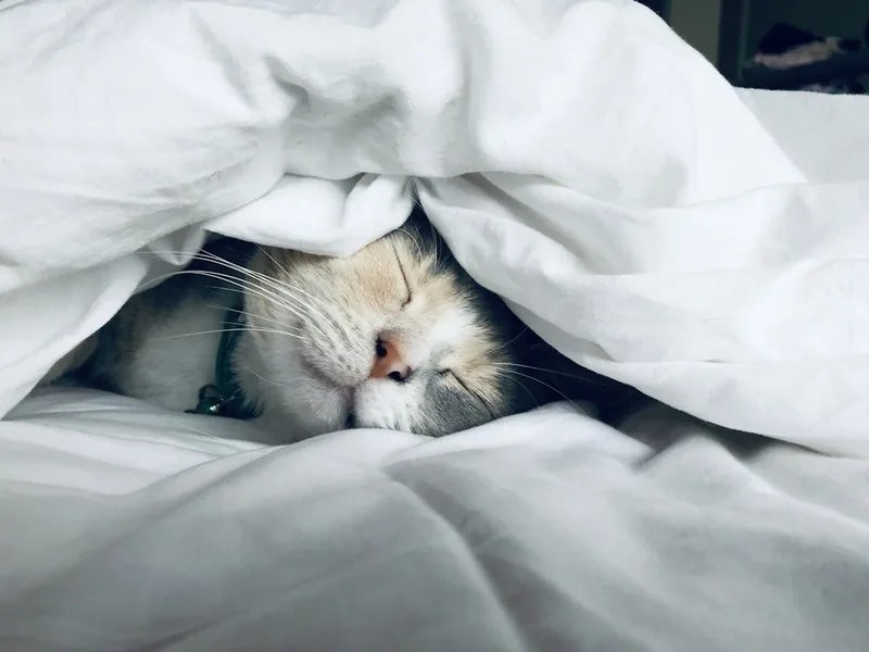 Sleep Troubles